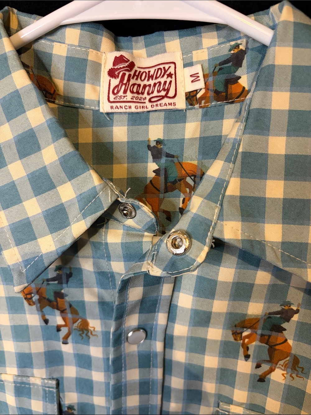 Howdy Hanny Teal And Cream Check Western Rodeo Shirt View 2